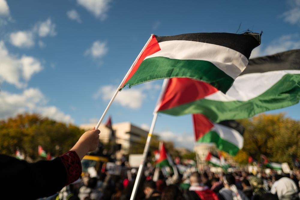 Palestinian flags wave in the air at a Washington DC protest.