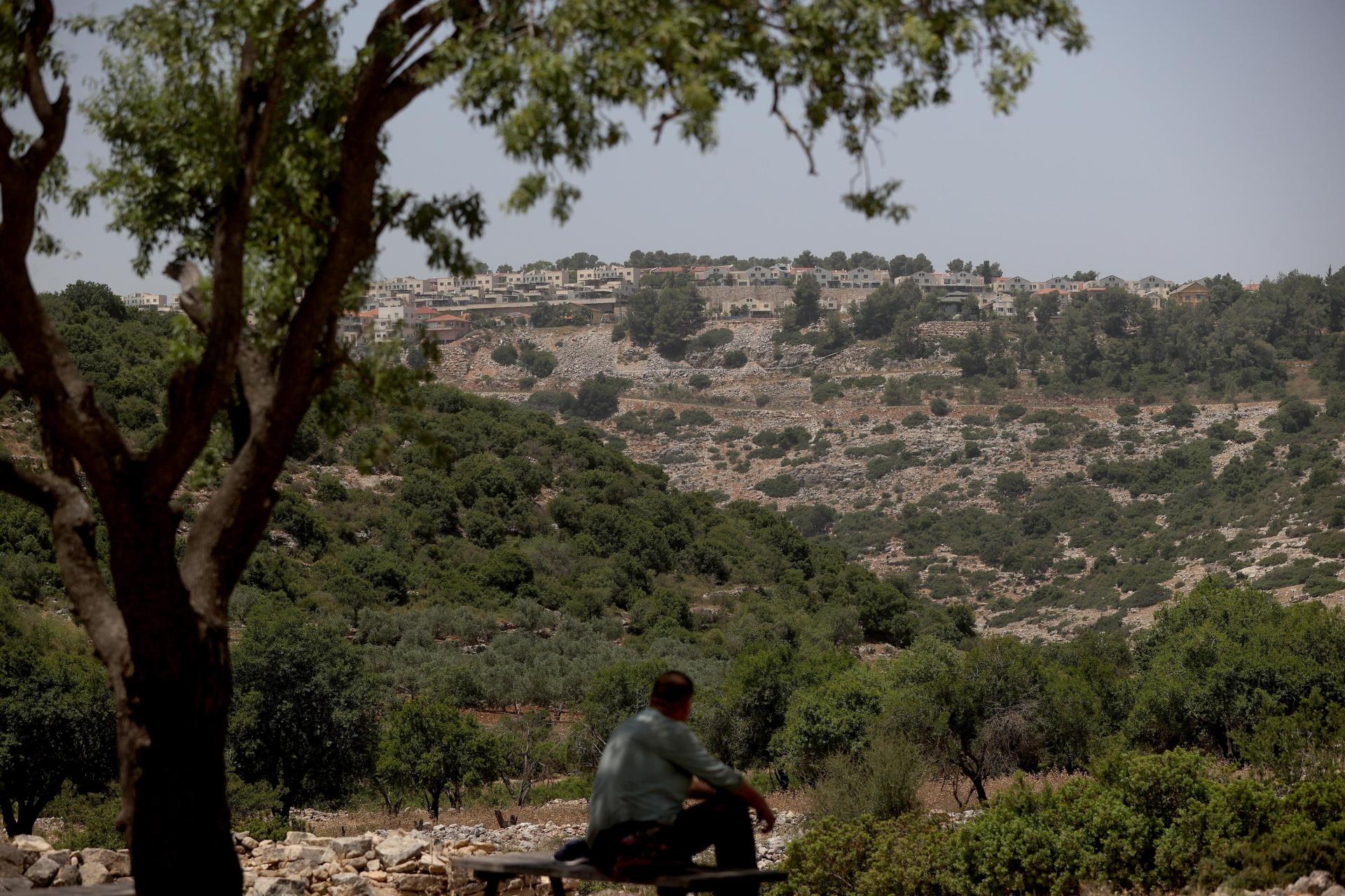 View of Wadi Qana in the West Bank, near Ramallah, home to olive and citrus trees, and which is surrounded by Israeli settlements.