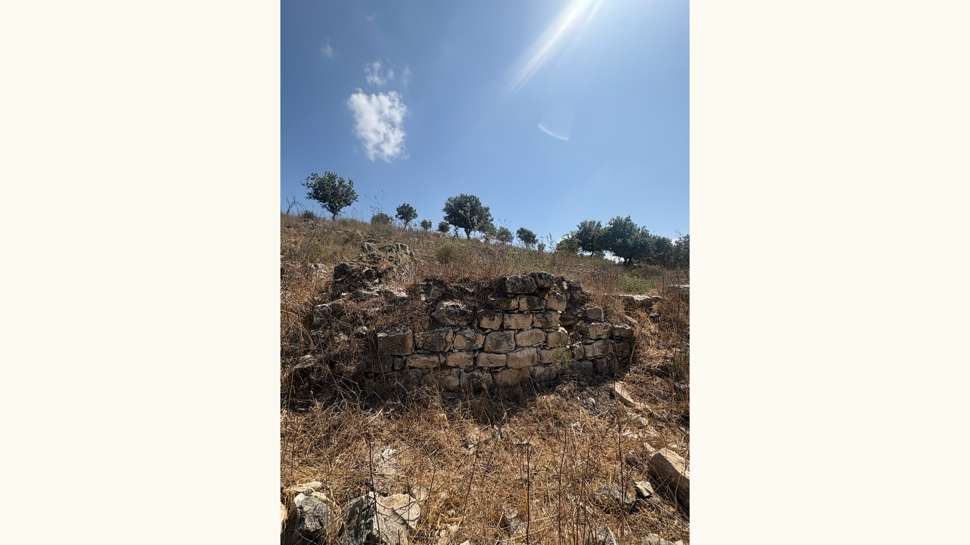 A view of the ruins of the Palestinian village of Umm al-Shauf.