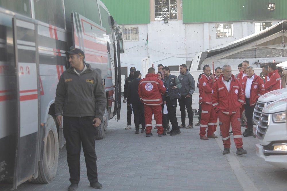 Red Crescent personnel stand near ambulances as they prepare to transport injured Palestinians through the Rafah Crossing to Egypt for medical evacuation. February 3, 2026.