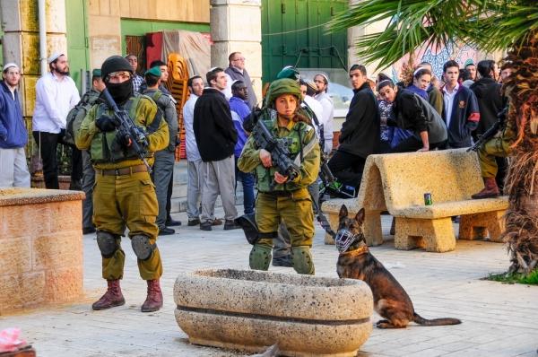 Heavily armed Israeli soldiers with an attack dog guard Israeli settlers as they walk through the Palestinian city of Hebron.