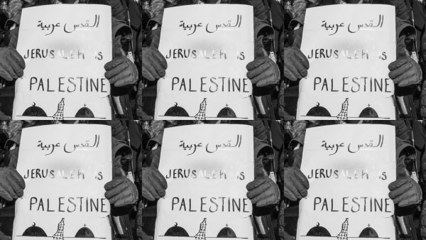 Protest sign that says "JERUSALEM IS PALESTINE" in English and "Jerusalem is Arab" in Arabic, with drawings of a mosque and church at the bottom. Boston, MA. December 2017.