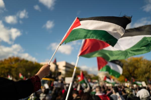 Palestinian flags wave in the air at a Washington DC protest.