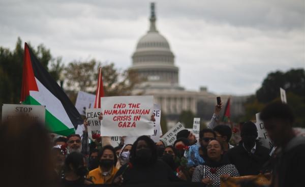 Washington DC rally demanding a ceasefire in Gaza with the Capitol Building in the background. One poster says "end the humanitarian crisis in Gaza."