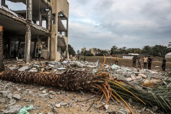 A date palm tree is utterly destroyed in an Israeli bombing, image shows destroyed tree trunk on the ground, just outside of a destroyed mosque.
