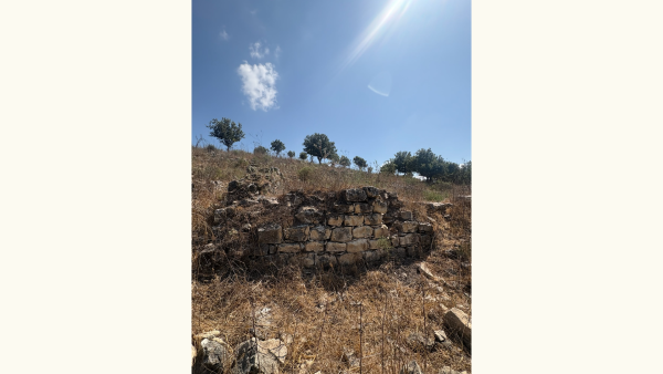 A view of the ruins of the Palestinian village of Umm al-Shauf.